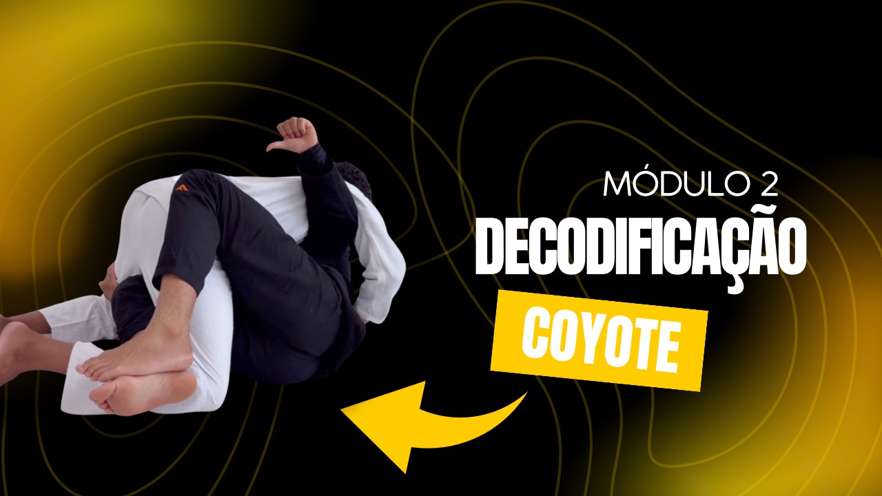 Módulo 2 - Decodificação